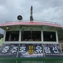 (주)여행나루 | 충주호 유람선 타고 즐기는 단양 가볼만한 곳! 장회나루 1시간 유람선 후기