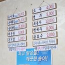 얼음골송어