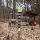 우면산3-29 이미지