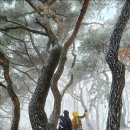 93번째 산행기- 상고대의 진수를 보여준 광교산♡ 이미지