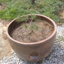 승준농장 이미지