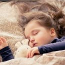 피트인 휘트니스 이미지