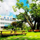 안개 농촌체험 휴양마을 이미지