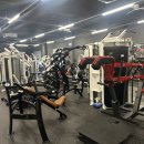 파나타 하이로우(삼지창) 판매완료, 슈퍼스쿼트 팝니다. 이미지