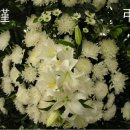 손병렬 포항중앙교회 목사 장모상 이미지