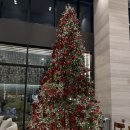 효성휘트니스센터 | 바이 쉐라톤수원 파크 스위트 호캉스 내돈내산 12월 방문후기(조식, 수영장, 룸컨디션, 피트니스센터)