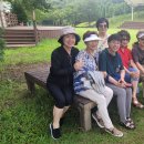 진안고원치유의숲 이미지