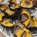 토마토수산시장 이미지