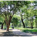 다산생태공원 이미지