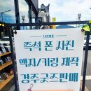 신라뽀또 이미지