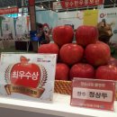 상두농장 이미지