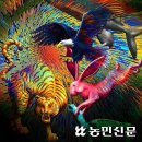 2021 공연재생 : 이자람 이방인의 노래 | [퓨전국악] 판소리로 재탄생한 ‘노인과 바다’…화제의 중심 이날치 ‘수궁가’ 앨범