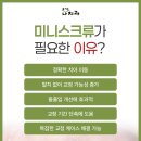 진주어린e치과의원 | 창원교정잘하는치과 치아교정 중 미니스크류가 필요한 이유?