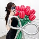 칸타유니버스 이미지