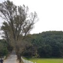 마당목장 이미지