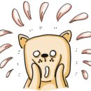 공단썬팅