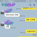 비상 계엄?헐~순간 뇌정지 오는줄..(수정2)부자들 비트 사서 나갈듯.(비트 순간 최저 8800 헐~)업빗 리플 대량 매입 외국 송금. 이미지