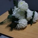 앨리스이스케이프대구 네이버블로그