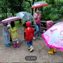 월드비전 춘천어린이집 이미지