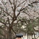 로운 태권도장 이미지