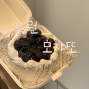 모갸또 | 노원역 도시락 레터링 케이크 서울 맛집 모갸또 노원