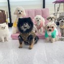 학교종이 댕댕댕 이미지