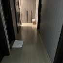 펫웨이브 광교지점 | 용인 성복 롯데캐슬골드타운 거실 포세린 타일 시공 후기｜강마루 철거부터 줄눈까지 전체 과정 공개