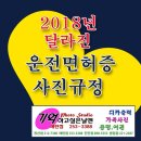 기억하고싶은날엔