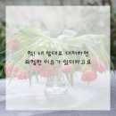 우리집동물병원 이미지