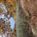 Fingerboard Mtn, Harriman State Park (10/14/26) 이미지