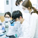 비에스씨(BSC)
