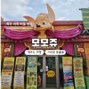 걷다보니 | 제주 모모쥬 동물원 후기｜카피바라 체험부터 먹이주기까지 총정리