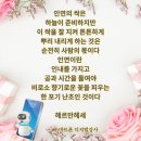 대구광역시 도시관리본부 | 대구시디지털시민감시단 연말평가회 성매매가 사라진 자리 인권이 피어난다