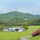 수풀손세차 | 5월, 은화삼cc 라운드 후기 (경기도 용인ㅣ아놀드 파머가 설계한 국내 최초 골프장)