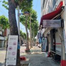 제21대 대통령 선거 대구 사전투표 후기 :: 수성구 두산동 사전투표소 모바일 신분증 가능 관외 투표