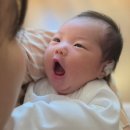 소피아 | 송파 잠실 소피아산후조리원 3주 솔직 후기