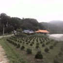 우선 강화도에 농가주택을 임차했습니다. 이미지