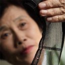 제주시무형문화재전수회관 Daum카페