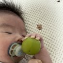 신가네보쌈메밀국수