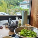 가야손칼국수 네이버블로그