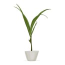 해피태양광발전소 이미지