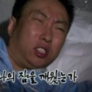 스테이하몽 이미지