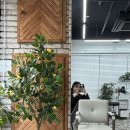 오즈헤어샵 이미지