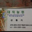 대덕농원