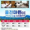 매일투어