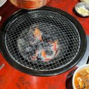 상무지구 김금자 숯불갈비 오픈 특가 가성비에 가성비를 더한 돼지갈비1,900원 식사후기