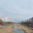 불광천변 이미지