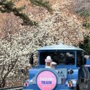 동호상회 이미지