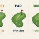 Ace골프스크린 이미지