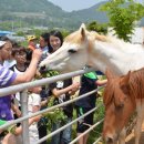 소중농장 이미지